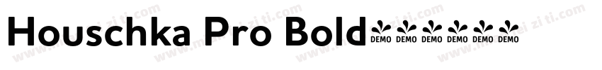 Houschka Pro Bold字体转换